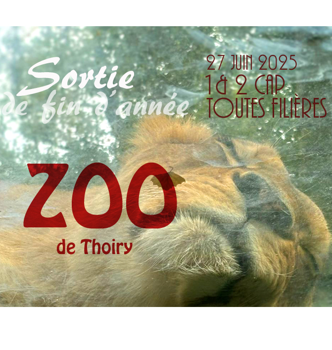 ZOO25_Cadr