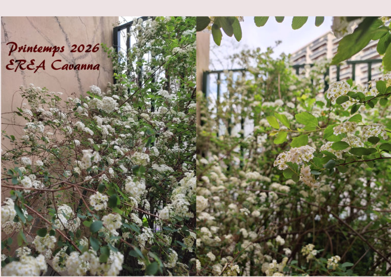 Printemps26_1